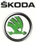 CareToDance Skoda logo 1 e